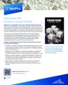 Denstone® 99 Alumina Support Balls Data Sheet
