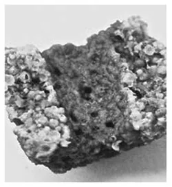 macrotrap magnification